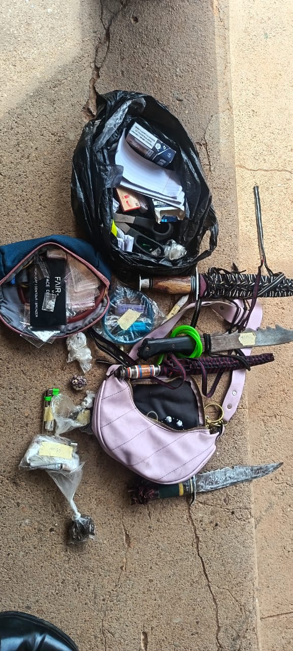 Adamawa Police Net 57 Suspects in Fresh Offensive Against Shilla Gang Activities
